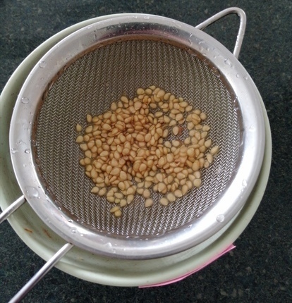 Tomato seeds in strainer