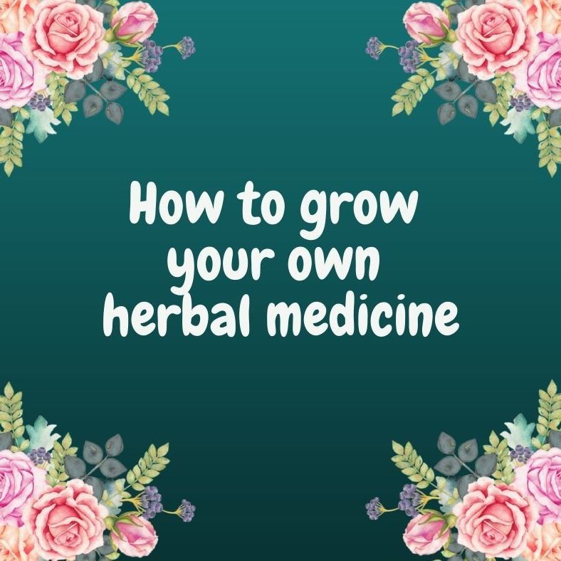 Grow your own herbs