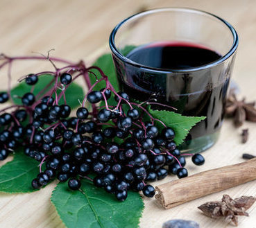 Make your own fresh Elderberry syrup
